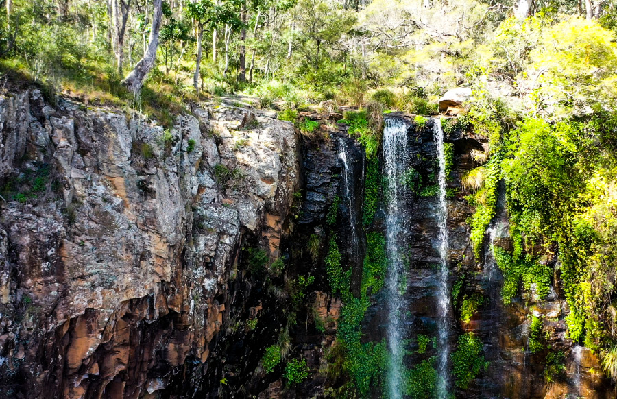 images/Destinations - Queen Mary Falls/queen mary falls - main range national park - day use area - falls walk-1.jpg